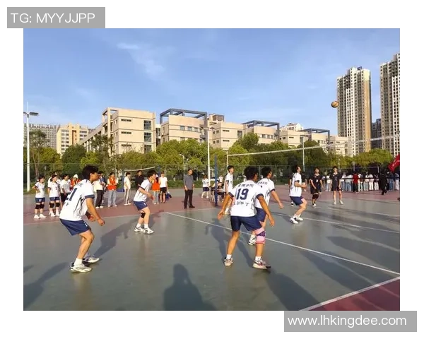 深圳排球队实力分析：聚焦球队发展与未来挑战